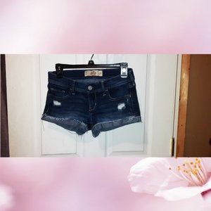 Hollister Size 3 Distressed Jean  Shorty Shorts